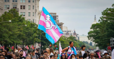 Trans March On D.C. The LGBTQ community has had to be more assertive lately.