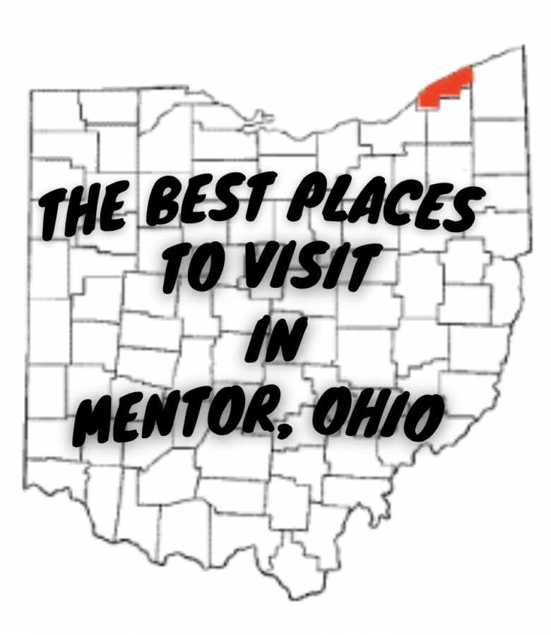 direct travel mentor ohio