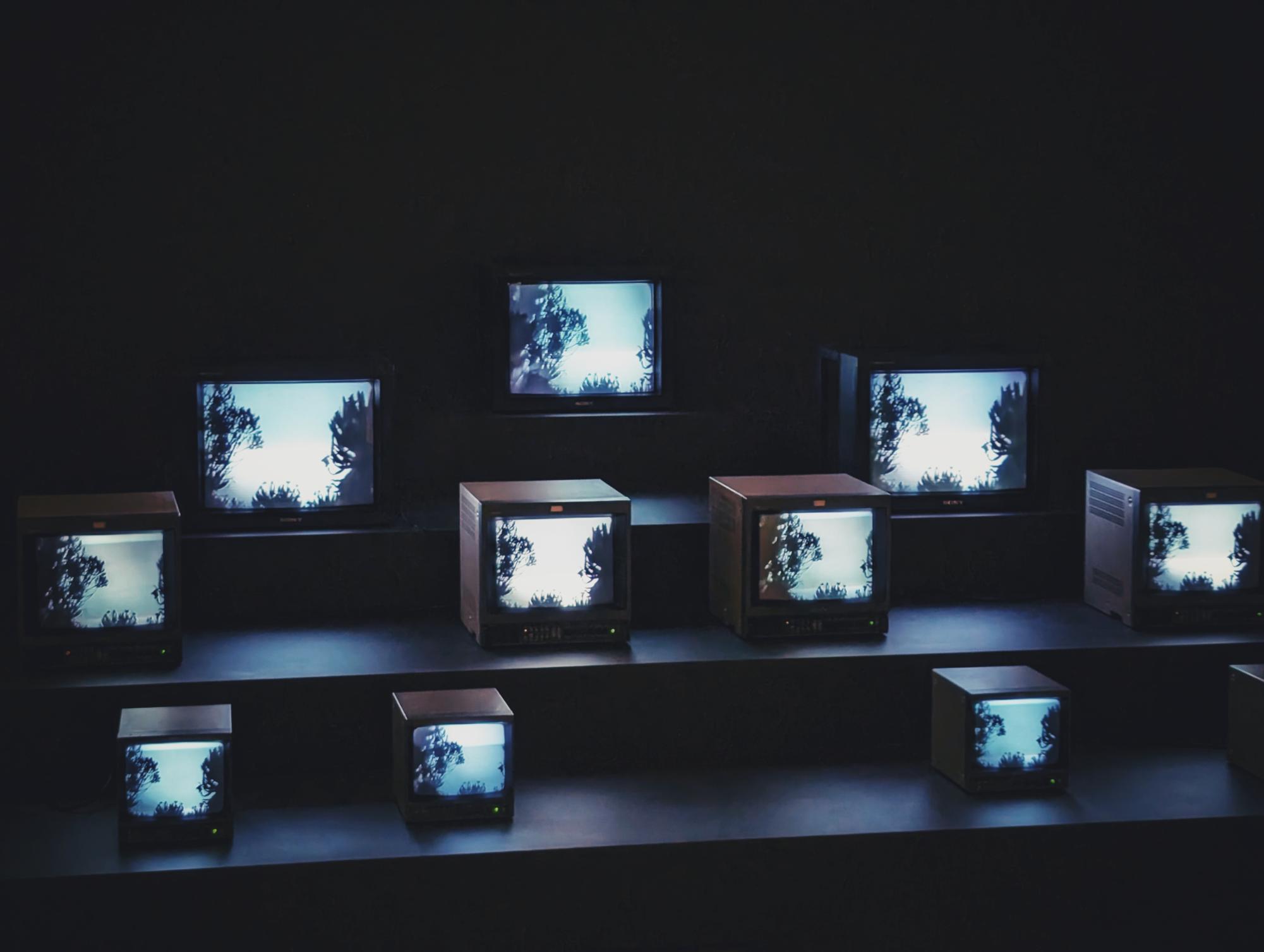 Inside the Museum of Modern Art