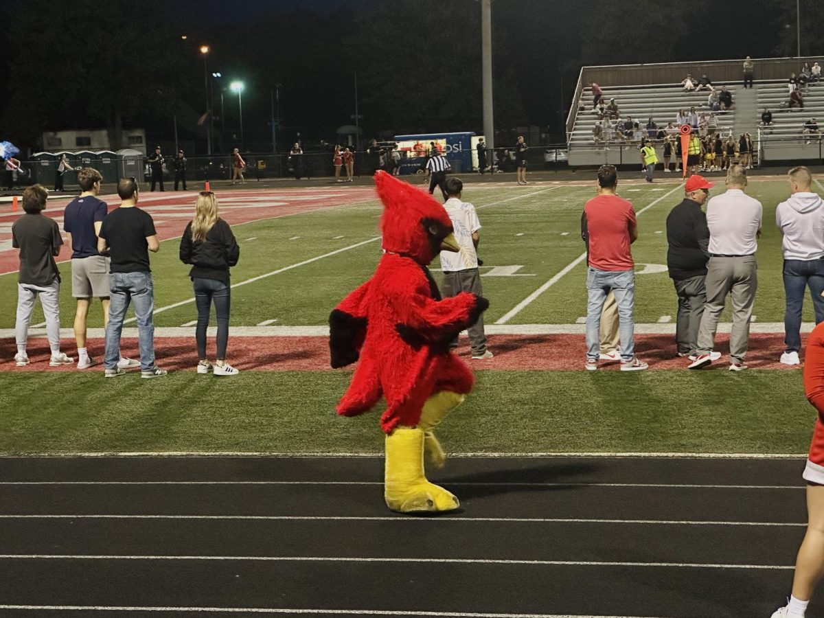 Cardinal mascot showing off some moves for the crowd.