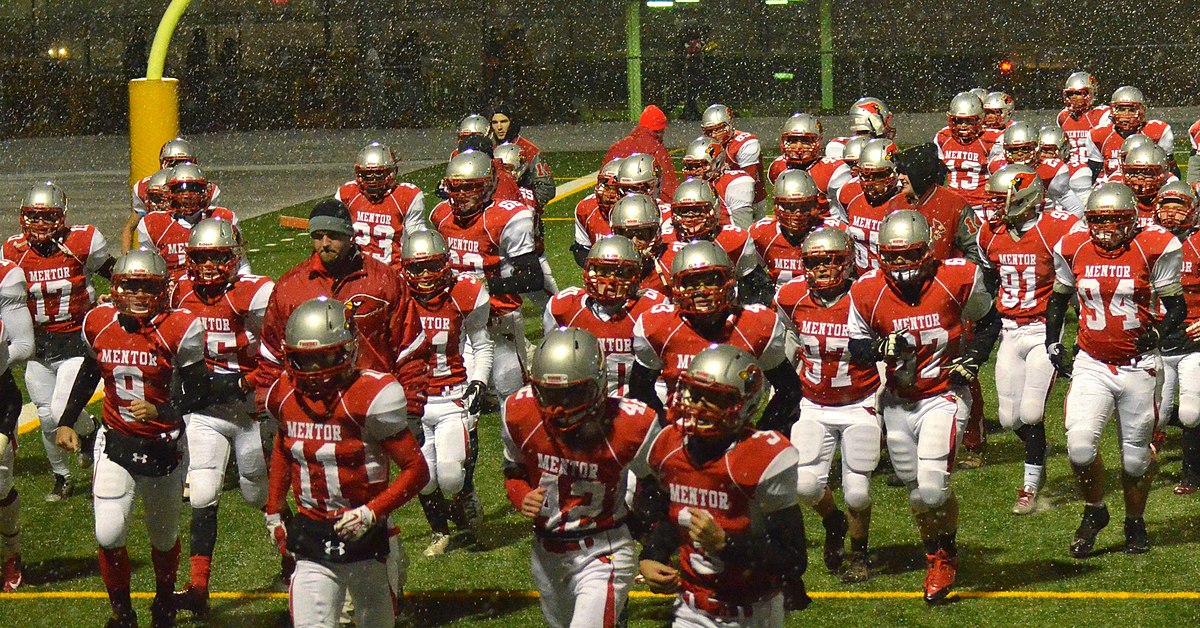 Mentor Cardinals vs. St. Ignatius Wildcats, Ohio High School Football Playoffs 2013 by Erik Drost, CC BY 2.0 (Obtained from Wikimedia Commons as Public Domain)