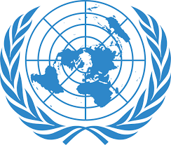 Model United Nation (MUN) (public domain)